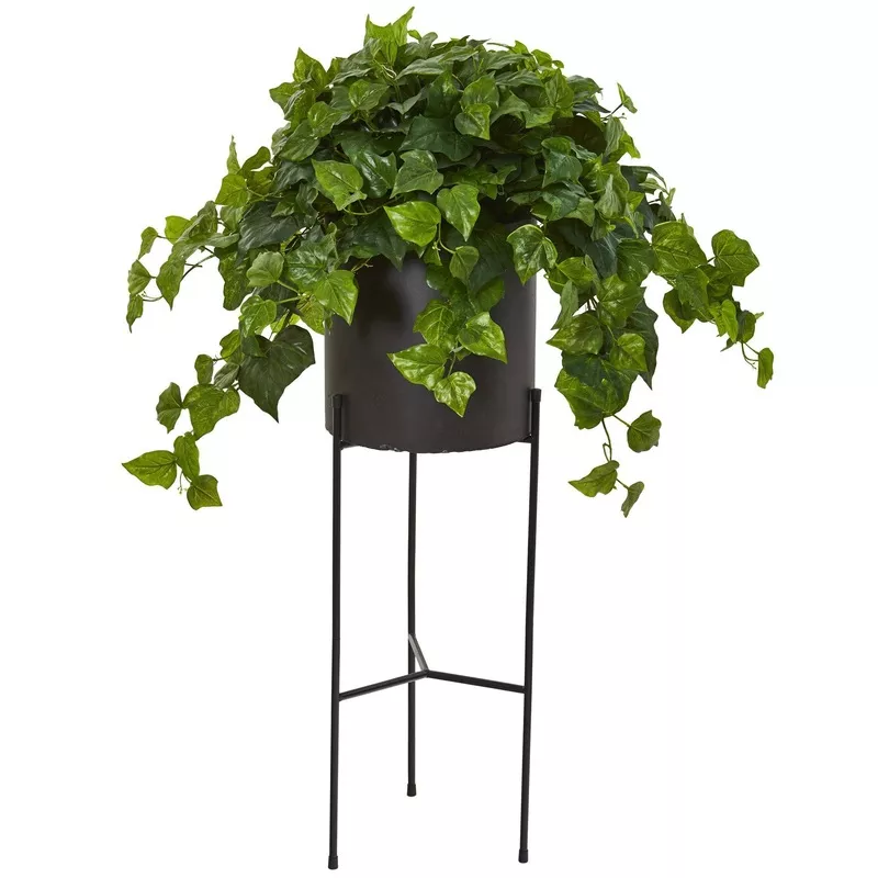 49 London Ivy Artificial Plant in Black Planter with Stand (Real Touch)