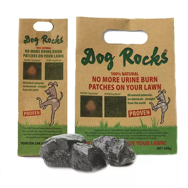 dog-rocks Dog Rocks