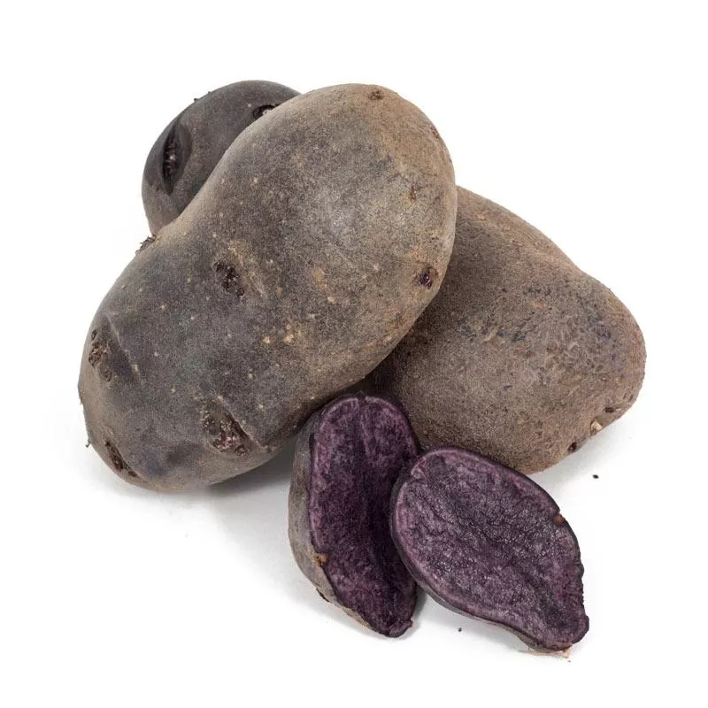 fall-planted-organic-purple-majesty-seed-potatoes-lb Fall-Planted Organic Purple Majesty Seed Potatoes (lb)