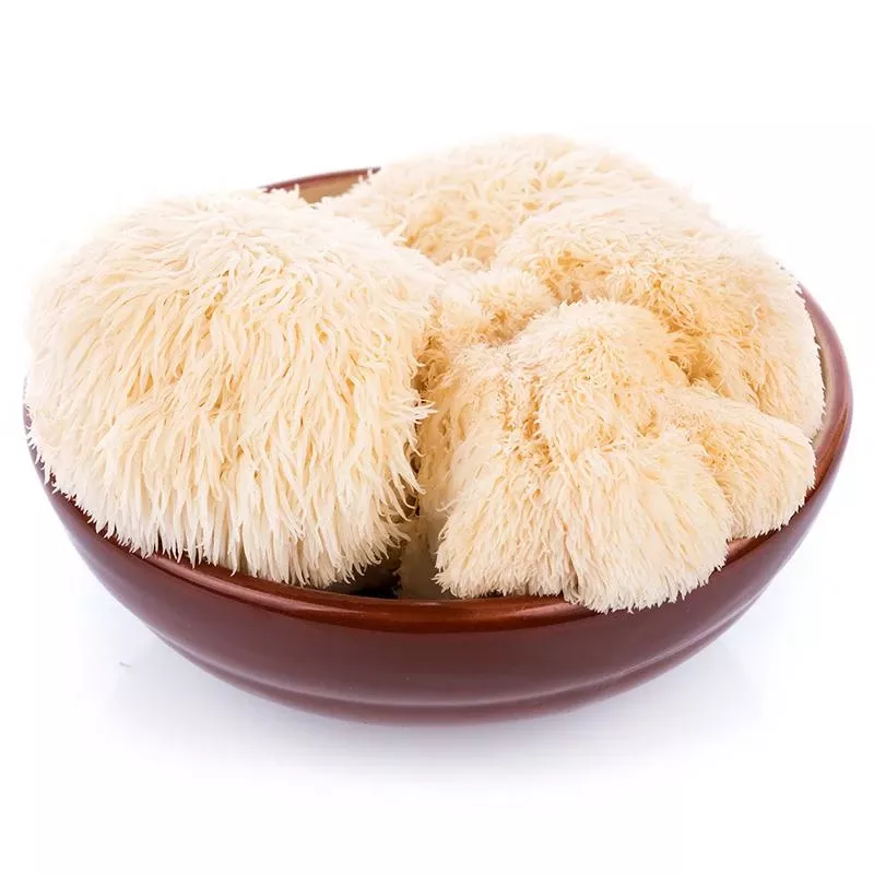 lion-s-mane-mushroom-kit Lion’s Mane Mushroom Kit