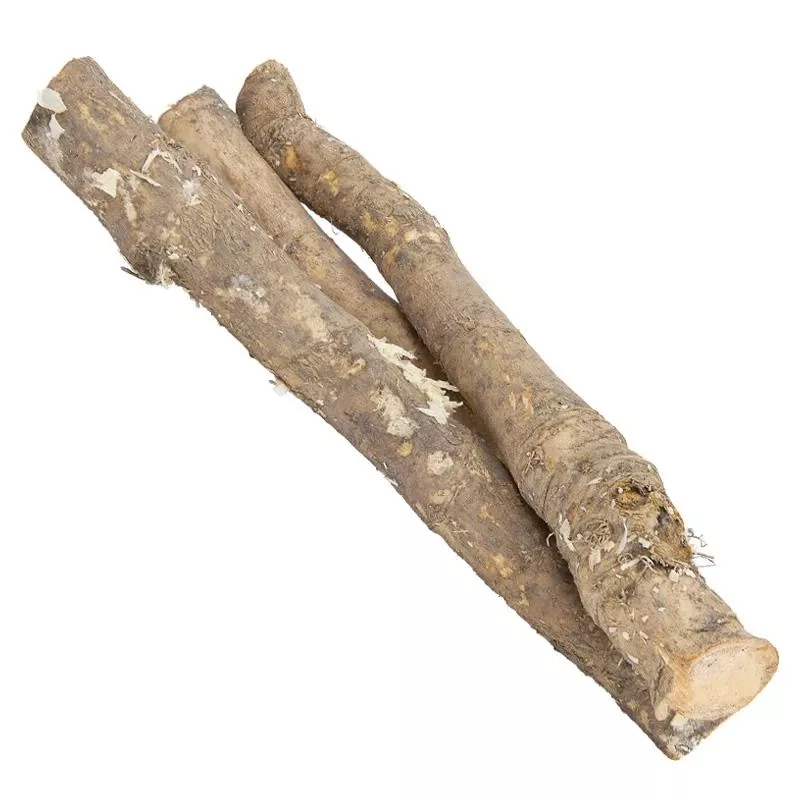 organic-horseradish-root-cutting Organic Horseradish Root Cutting