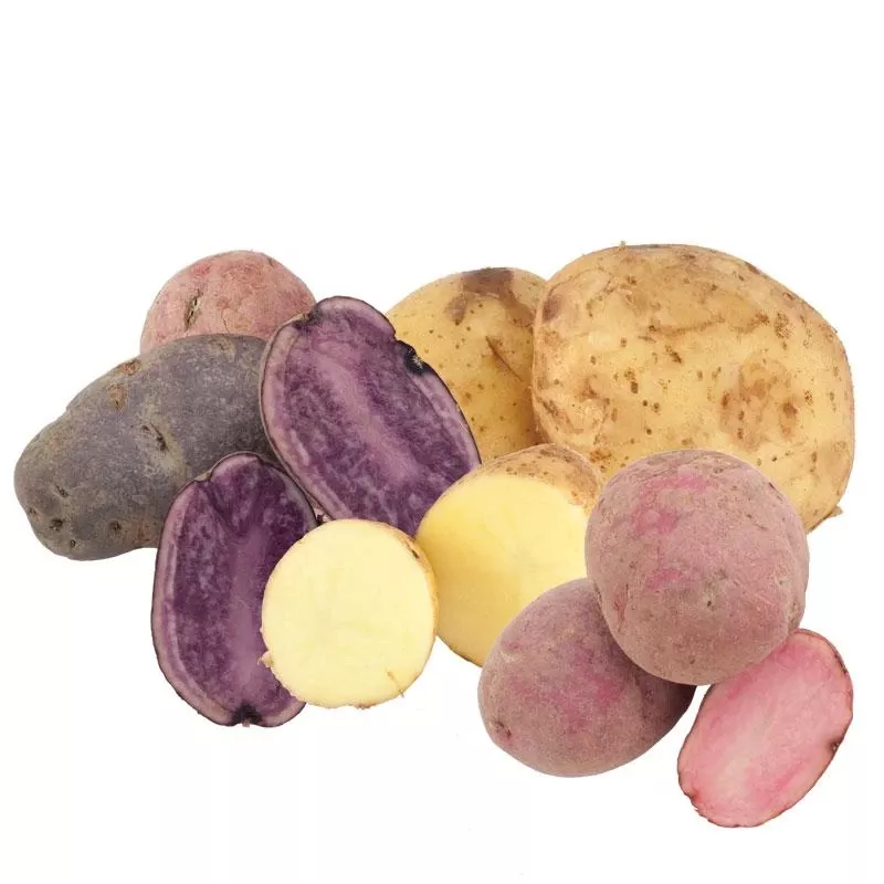 rainbow-mix-potato-organic Rainbow Mix Potato (Organic)
