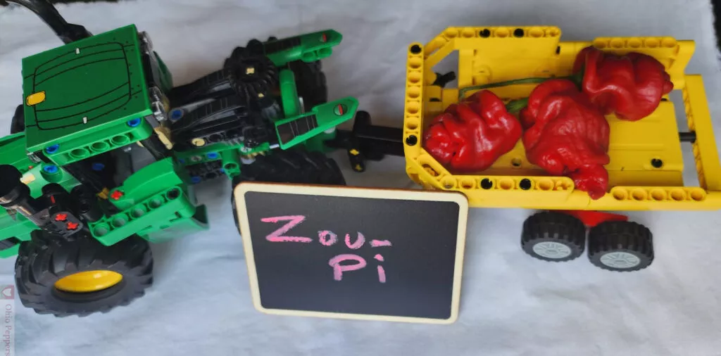 zou-pi Zou pi