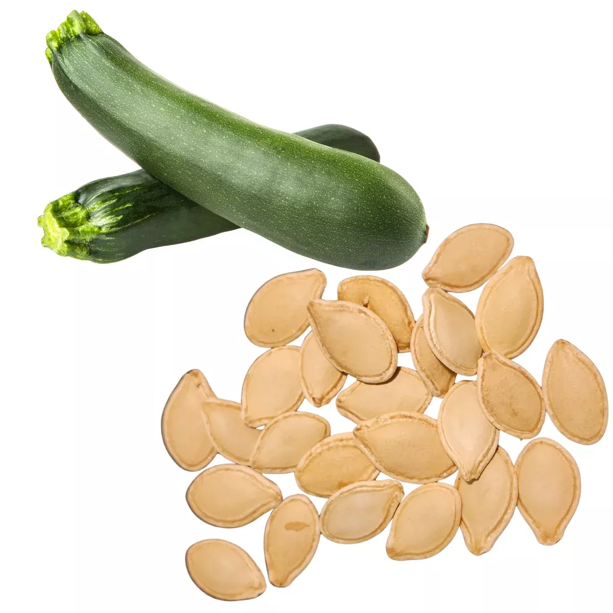 zucchini-black-beauty-cucurbita-pepo-50-organic-seeds-3-grams-by-smoke-camp-craf Zucchini, Black Beauty (Cucurbita pepo) 50 Organic Seeds (3 grams) by Smoke Camp Crafts - Prolific Summer Squash